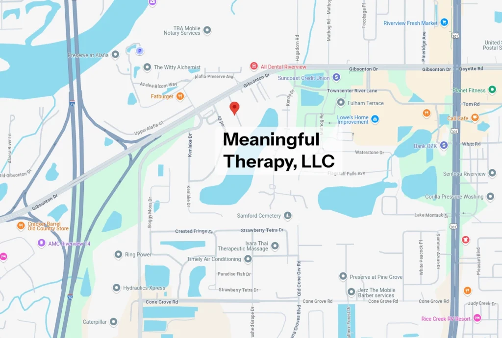 Meaningful Therapy FL LLC, google maps location