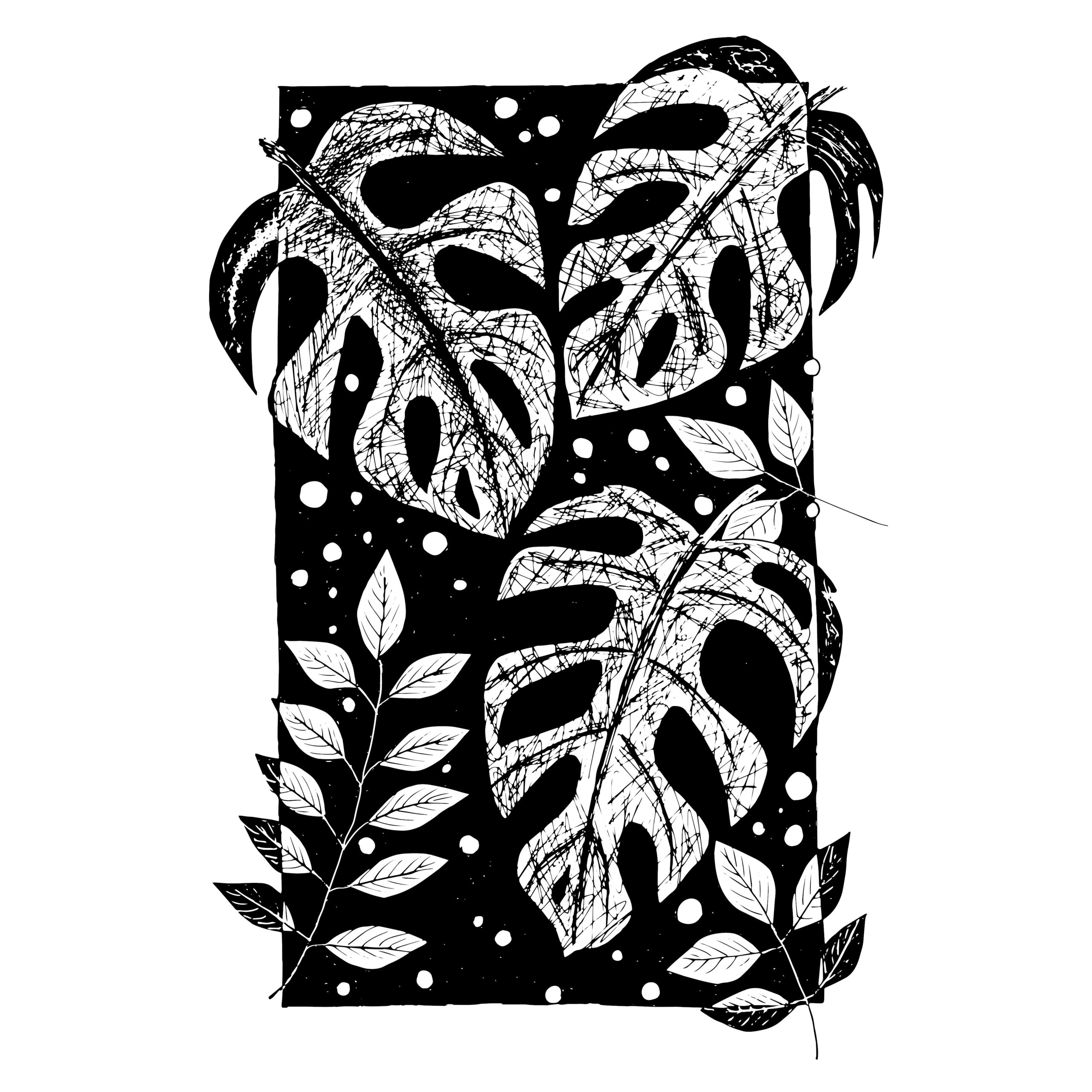 Black and white botanical illustration.